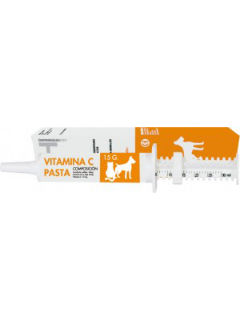 vitaminaCPasta-300x82